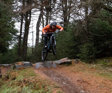 Glentress red route online